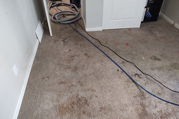 Carpet Cleaning Service Carpet Cleaning Service